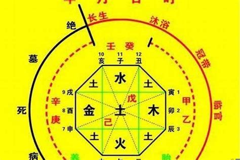 喜木火|八字入门基础 第六篇 如何判断八字喜用神